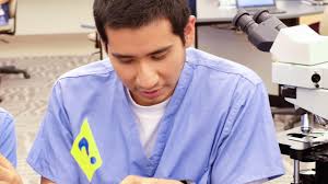 School of Veterinary Medicine