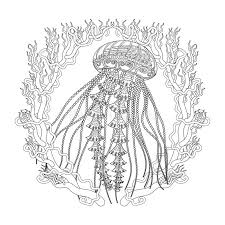 Collection of cute jellyfish coloring pages. Jelly Coloring Stock Illustrations 470 Jelly Coloring Stock Illustrations Vectors Clipart Dreamstime