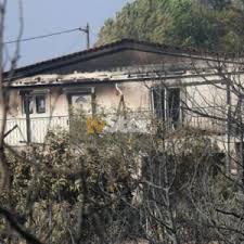 News digest με τις σημαντικότερες ειδήσεις 3 φορές / ημέρα, ζωντανή ροή με τη θεματολογία που σε ενδιαφέρει, ηot τopics από τα σημαντικότερα γεγονότα, ροή. Nanmkilu Yccwm