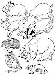 Jan brett hedgehog coloring page. Put The Animals In The Mitten