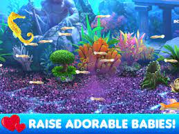 Virtual aquarium is fun for all ages! Fish Tycoon 2 For Android Apk Download