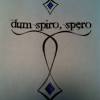 It says dum spiro spero, latin for while i breathe, i hope.this is the south carolina state motto. 3