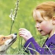 luisella mainardi (@cerbiattalibera)