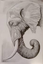 Fortitude Elephant Art Drawing Elephant Sketch Elephant Tattoos