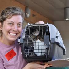 167 dogs, cats spayed, neutered at Walker Animal Shelter