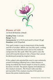 Pin On Dnd Spells