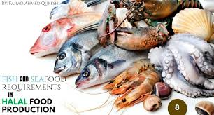 The condition for halal meat sea creatures is to have scales. Fish Amp Seafood Requirements In Halal Food Production Ep 8
