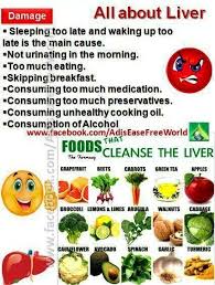 liver health fatty liver remedies fatty liver liver diet