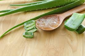 Aloevera gel massage stimulates the hair follicles in the scalp and also improving blood circulation. Using Aloe Vera For Babies Benefits Precuations To Take