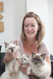 While saving lives and enriching others, cattyshack cafe provides a home for adoptable cats that would have been otherwise overlooked at an animal shelter. Is Colchester The Purr Fect Spot For A Cat Cafe Gazette