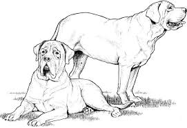 Coloring adult difficult dogs elegants. Labrador Family Coloring Pages Dog Coloring Pages Coloring Pages For Kids And Adults