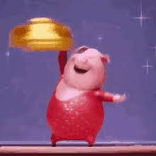 Dancing Pig Gifs Tenor