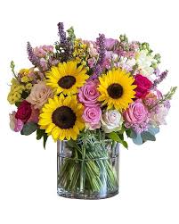 Image result for Sunglow Yellow 2017 City Express