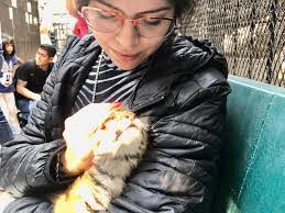 Dan Rabe's Instagram, Twitter & Facebook