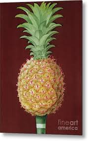 Wybierz z szerokiej gamy podobnych scen. Antigua Black Pineapple Metal Print By English School