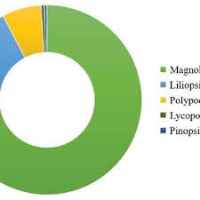 Image result for Kotschya prittwitzii