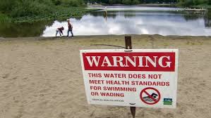 Vancouver residents asked to keep out of Trout Lake due to E. coli ...