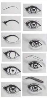 Pin On Drawing