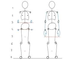 How to draw anime for beginners. Human Anatomy Fundamentals Basic Body Proportions