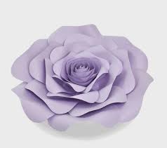 Plus, the spiky plant stands out in the garden due to the tall stature. Lavander Paper Flowers Nursery Paper Flowers Purple Paper Flowers Customized 6 Pc Purple And White Paper Roses Party Supplies Paper Party Supplies