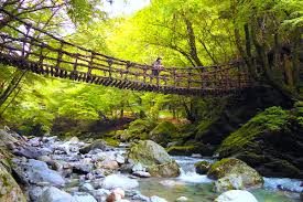 奥 祖谷 二 重 かずら 橋 キャンプ 場