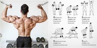 back and biceps the best workout