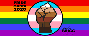 Pride month calendar (photo credits: Pride Month Healthcare Self Advocacy For Trans People Bmcc