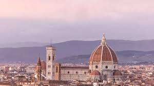 Image result for Stanfieldiella imperforata