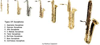 33 Proper Saxophone Size Chart