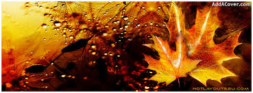 Minimalist home interiors photo collage facebook cover. Autumn Facebook Cover Quotes Quotesgram