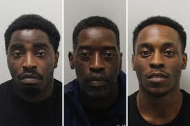 Father and sons convicted of killing 25-year-old in Brent machete attack