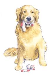 Pin By K Lowe On Cartoon Animals Doodle Dog Art Golden Retriever Drawing Golden Retriever Art