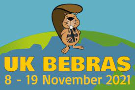 There S Something About Bebras