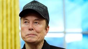 Man claims to know truth about Elon Musk's Scouse nan