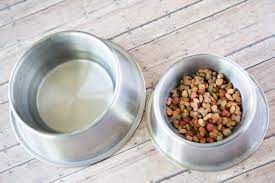 Maybe you would like to learn more about one of these? 26 100 Free Dog Food Samples By Mail Lushdollar Com
