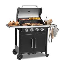 Barbecue A Gaz Napoleon Rogue 2 Bruleurs R365pk 1 Fr