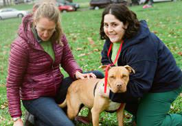 With dogvacay, your pet always stays with a trusted sitter in a safe, cozy home. Re Energize Your Commitment To Helping Animals In Need With The Hsus Pets For Life Program
