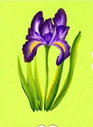 Prackrat S Gallery Iris Card Flower Drawing Flower Art Painting Flower Art