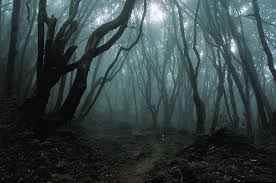 Anime Images Anime Wallpaper Dark Forest Support us by sharing the content, upvoting wallpapers on the page or sending your own background pictures. anime images anime wallpaper dark forest