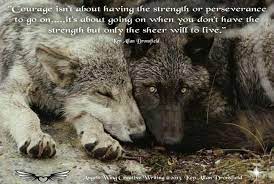 Wolf Quote Please Help Save Wolves From The People Who Think It S Ok To Have Contests To See Who Can Kill The Biggest Wolf And Who Wolf Love Wolf Pup Wolf Dog