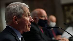 Anthony Fauci Is a Better Economist Than Donald Trump or Jared Kushner
