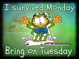Jun 03, 2017 · 50 funny good morning quotes especially when you're an early riser , it can make quite a difference if you have something funny and energizing to look forward to. Happy Tuesday Funny Quotes Pictures Images And Meme Mylovelytext Com