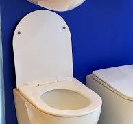 OEM & ODM Rimless One-Piece Wall-Hung Toilet by MWD 2024 ...