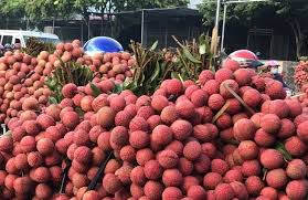 Chỉ là còn trẻ tuổi nên họ quá mức nồng nhiệt ngay từ ban biên tập afamily: Bá»' Tri Lam Them Giá» Ä'á»ƒ Cáº¥p C O Cho Nong Sáº£n Xuáº¥t Kháº©u