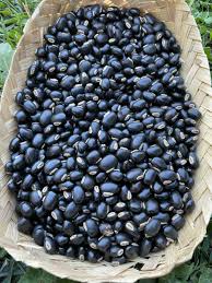 Image result for Mucuna