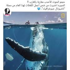 pin by israakashaba on قصه in 2021 children photography poses beautiful arabic words great pictures