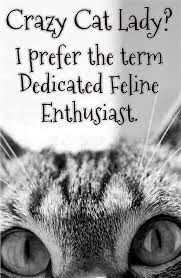 Https Www Facebook Com Feraltofriendlyfelines Photos A 313219945532508 1015469371974225 Type 3 Crazy Cats Crazy Cat Lady Cat Quotes