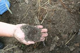 Maybe you would like to learn more about one of these? Garden Compost