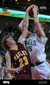 Image result for Englerina