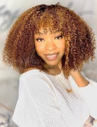 Highlight Afro Kinky Curly Human Hair 5x5 Inches Lace Front Wigs With